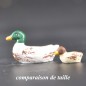 Caneton tÃªte jaune