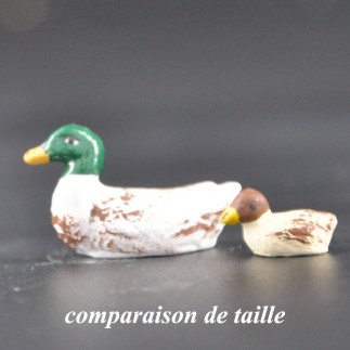 Caneton tÃªte marron
