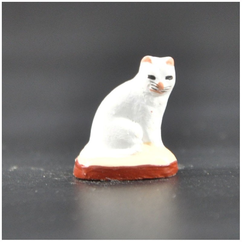 Chat petit blanc Chat petit blanc