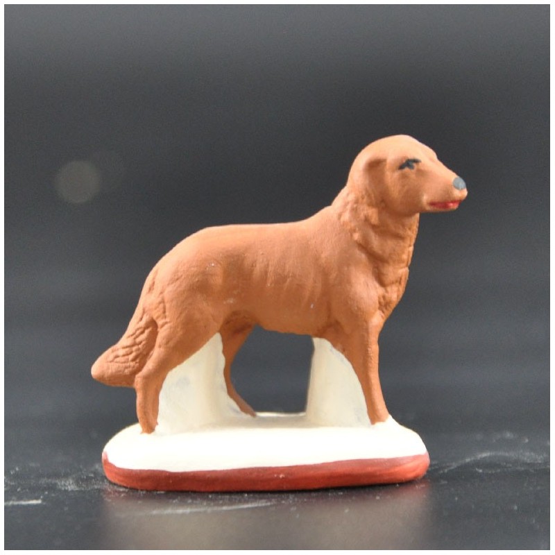 Chien marron Chien marron