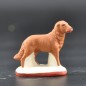 Chien marron Chien marron