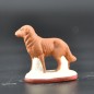 Chien marron Chien marron