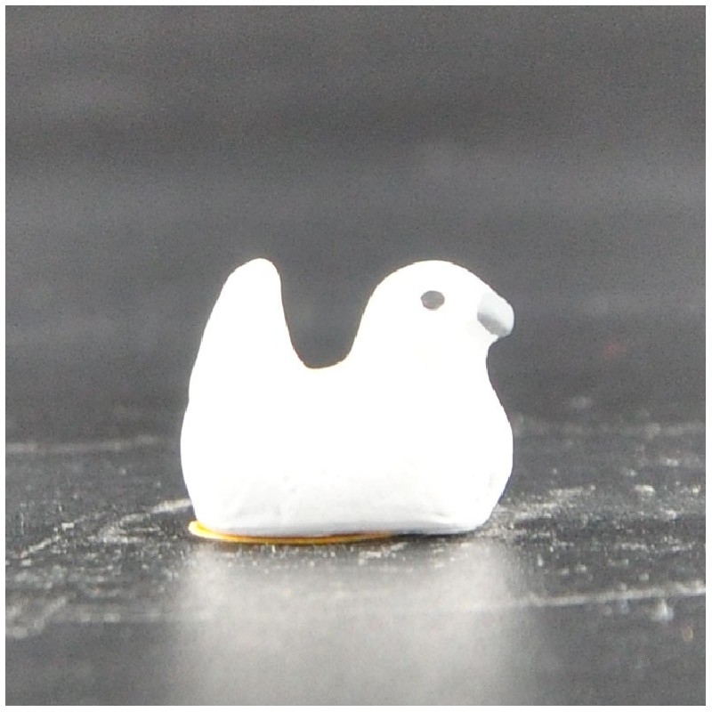 Pigeon simple
