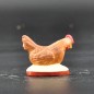 Poule poussin marron Poule poussin marron