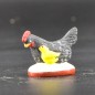 Poule poussin noire Poule poussin noire