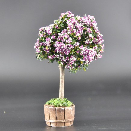 arbre chinÃ© rose