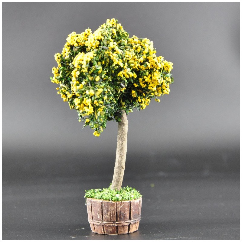 arbre petit jaune