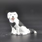 chien tachetÃ© noir