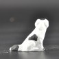 chien tachetÃ© noir