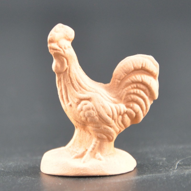 Coq brut Coq brut