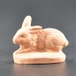Lapin couchÃ© brut