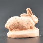 Lapin couchÃ© brut