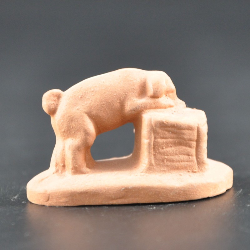 Cochon petit brut Cochon petit brut