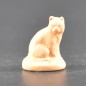 Chat grand brut Chat grand brut