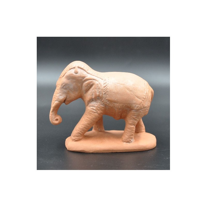 Elephant brut Elephant brut