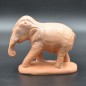 Elephant brut Elephant brut