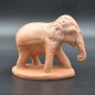 Elephant brut Elephant brut