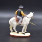 gardian jaune à cheval gardian jaune à cheval
