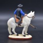 gardian bleu Ã  cheval