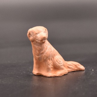 chien tachetÃ© brut