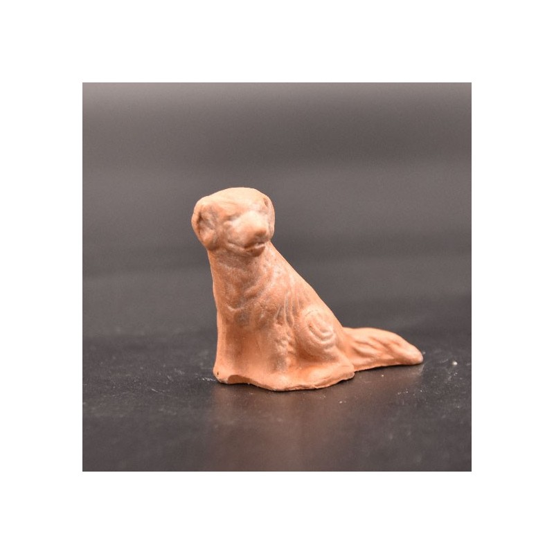 chien tacheté brut chien tacheté brut